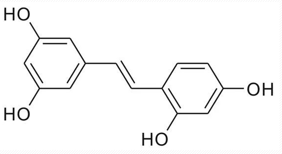 product-1-1 image