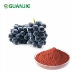 अंगूर के बीज का अर्क पाउडर