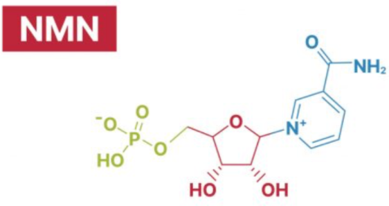 NMN bulk powder NMN bulk powder